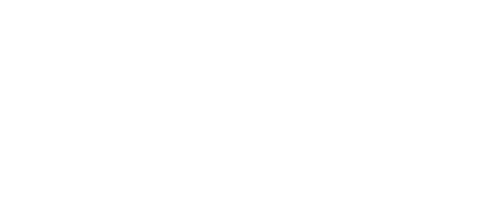 CG Elementum